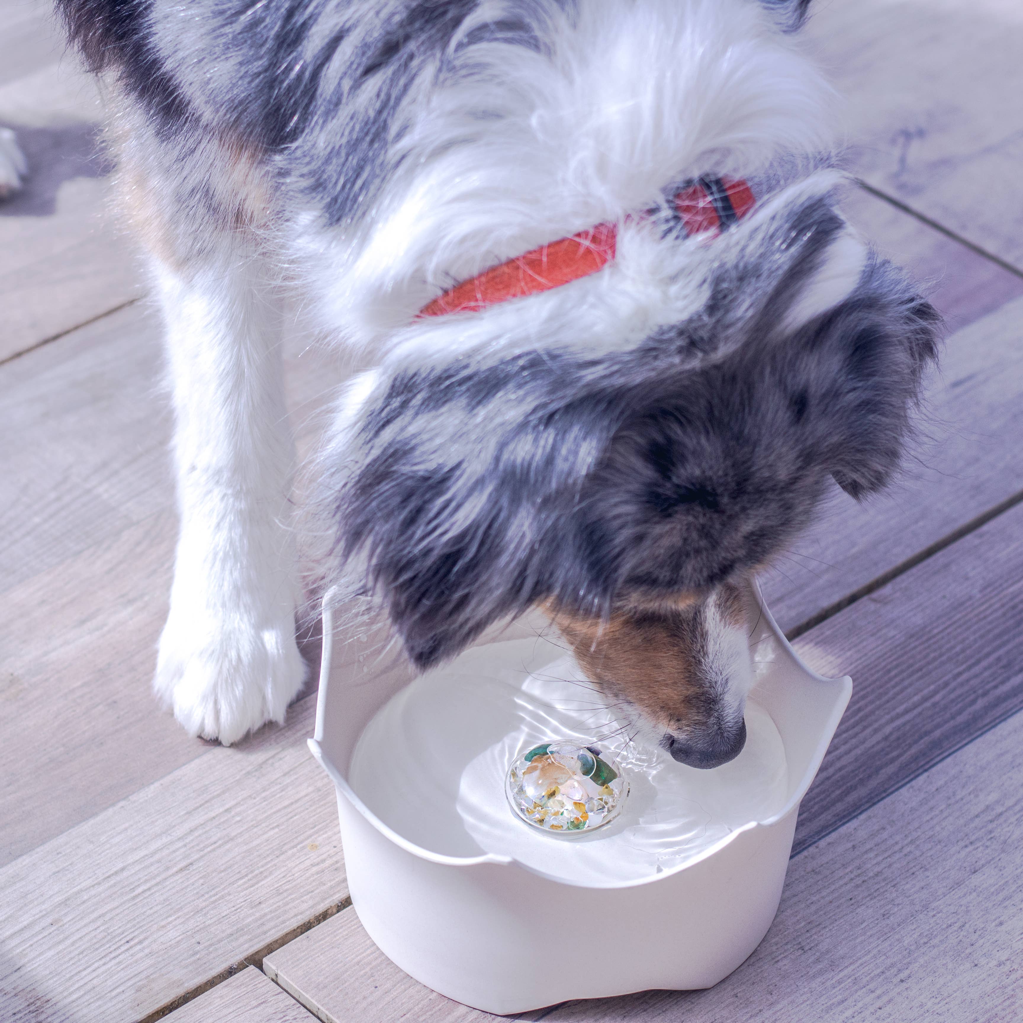 CROWN JUWEL | Crystal Pet Bowl: CLOUD WHITE