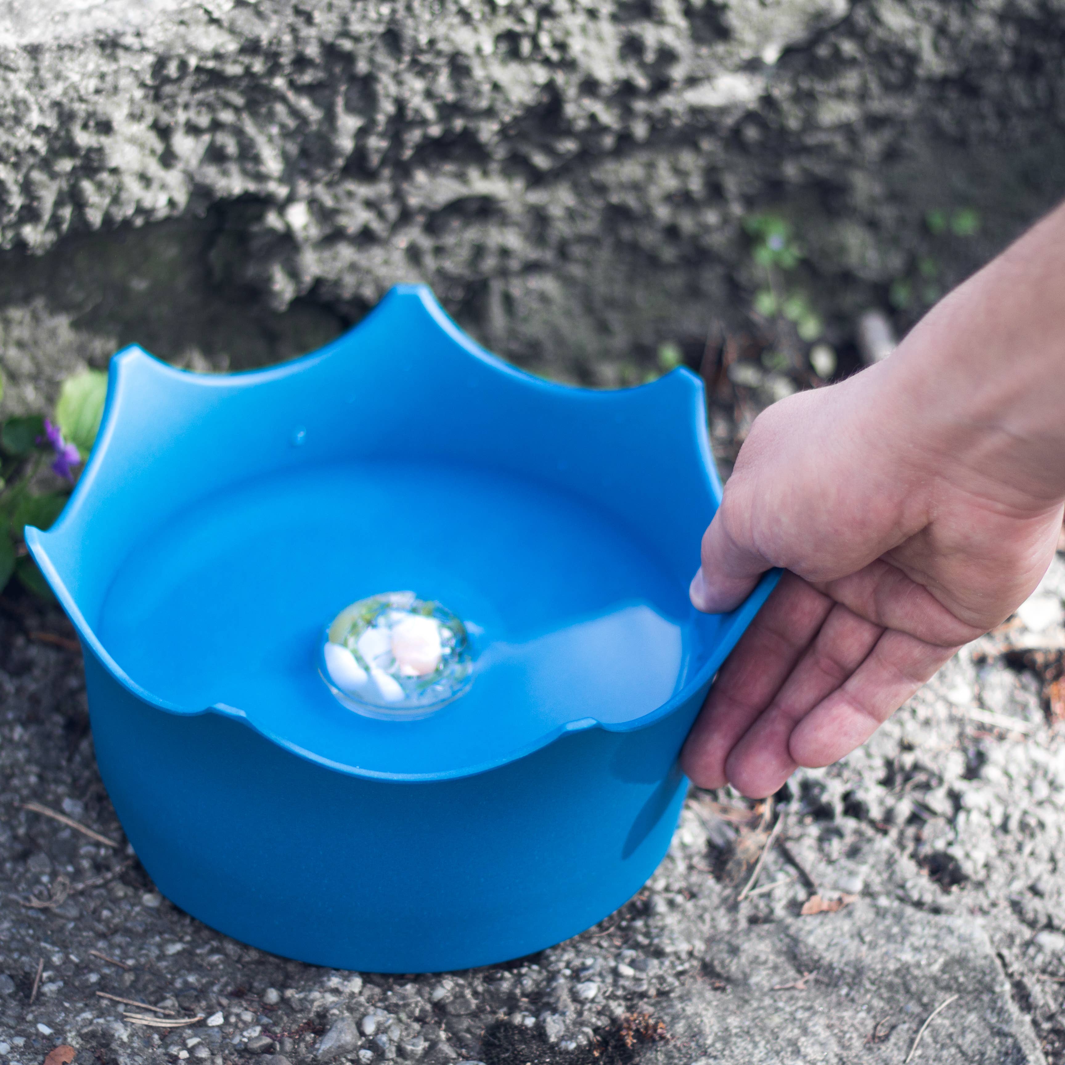 CROWN JUWEL | Crystal Pet Bowl: OCEAN BLUE