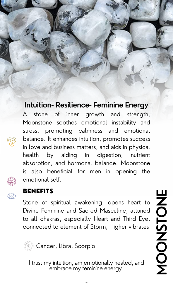 Crystal Bracelet | INTUITION